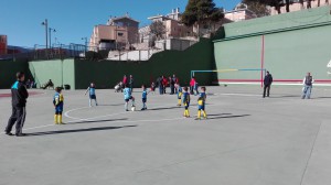 prebenjami b sanroque[1]